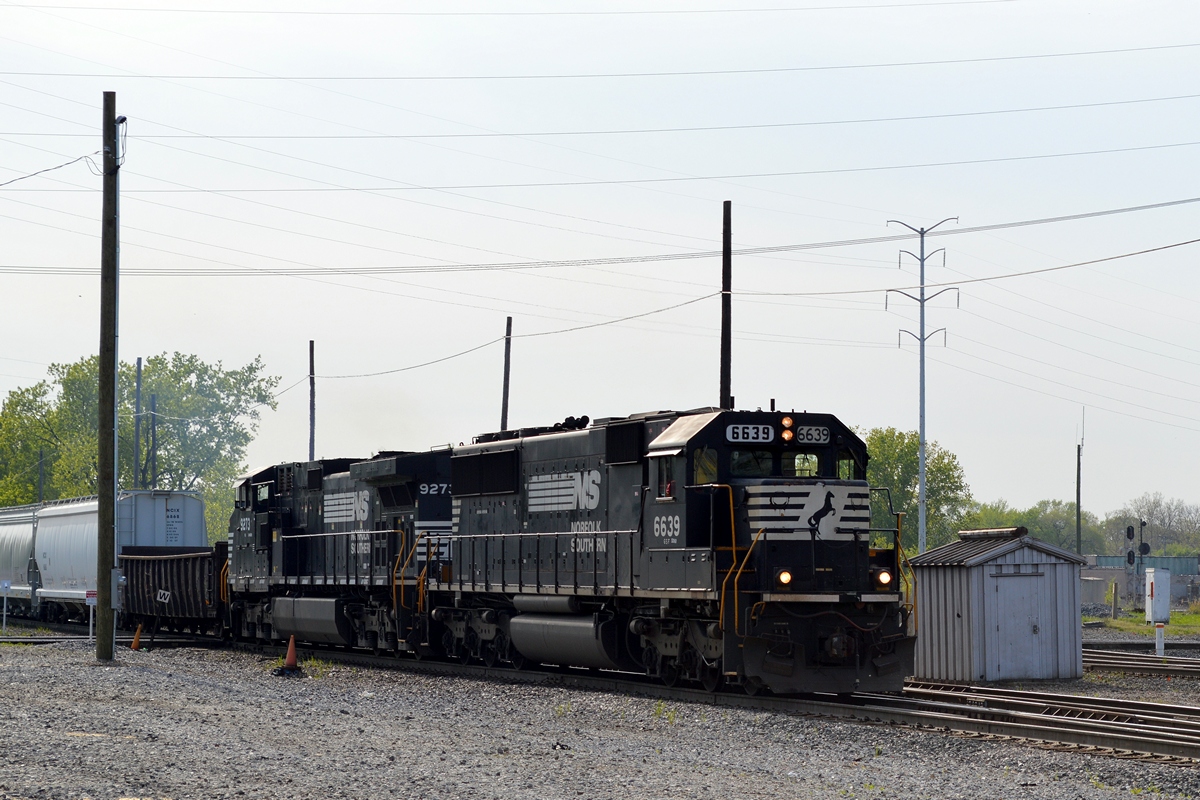 NS 6639